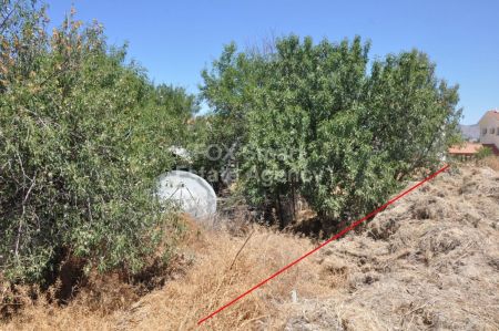 ארץ כפרית למכירה