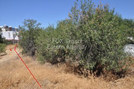 ארץ כפרית למכירה