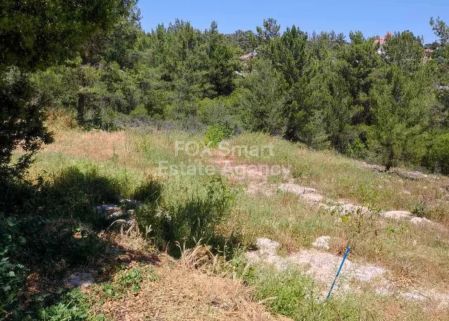 Мансура, Никосия