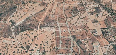 Мансура, Никосия