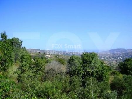 פאפוס, פאפוס