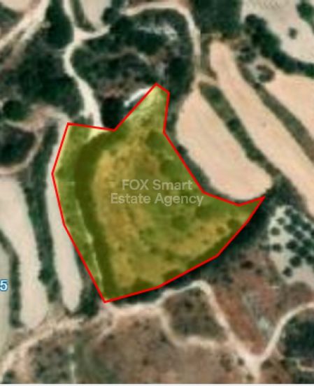 Пафоса, Пафос