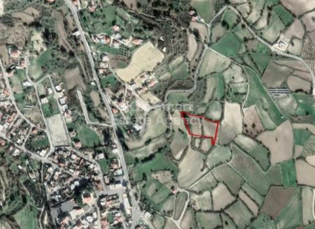 פאפוס, פאפוס