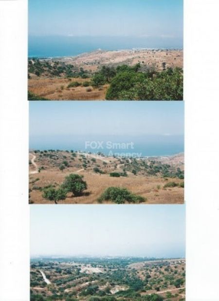 טאלה, פאפוס