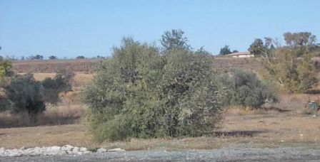 Terreno Residencial en venta