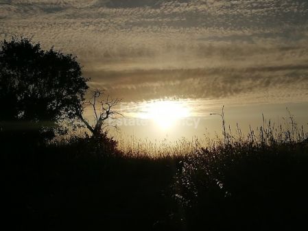 Terrains résidentiels à vendre