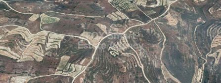 ווני, לימסול