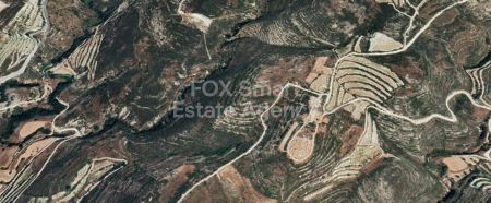 Αγροτεμάχιο