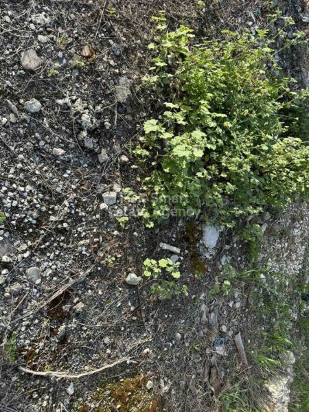 Terreno Residencial en venta