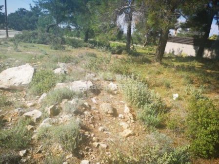 קרקע למגורים למכירה