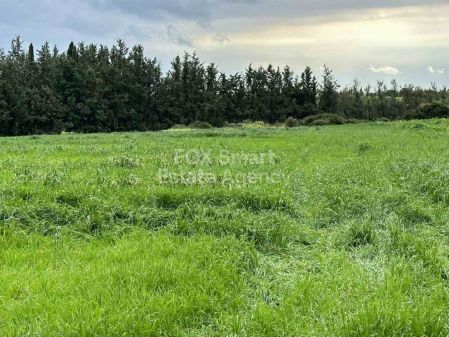 Terrains résidentiels