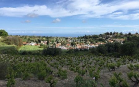 Residential Land for sale