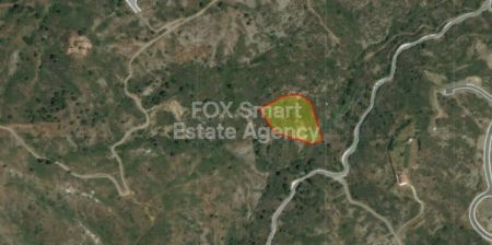 קרקע למגורים