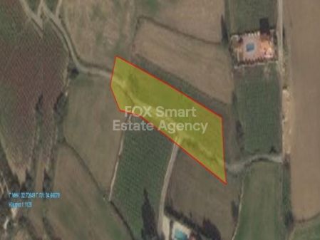 פיסורי, לימסול