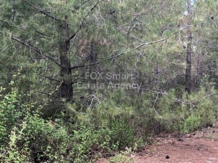 Жилой участок на продажу