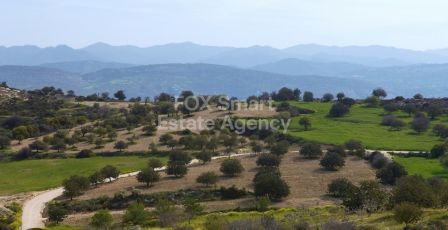 פוליס, פאפוס