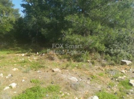 Мансура, Никосия