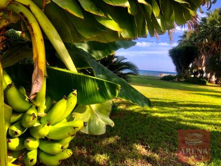 Casa Unifamiliar en alquiler