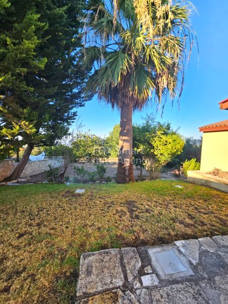 Thumbnail 4 Proprietà In Affitto Pachyammos