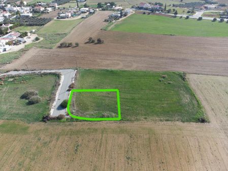 אנגאיה, ניקוסיה