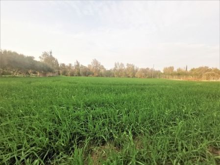 Жилой участок на продажу