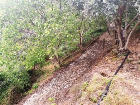 Частный дом на продажу