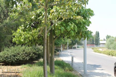 Terreno Residenziale in vendita