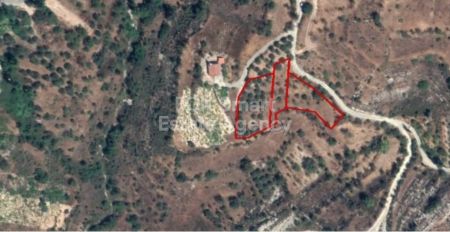 Αγροτεμάχιο