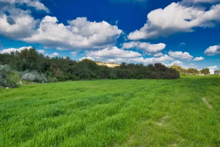 住宅用地 出售出售