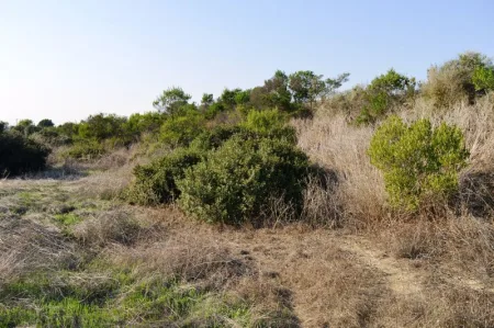 住宅用地 出售出售