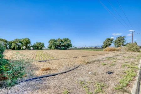 קרקע למגורים למכירה