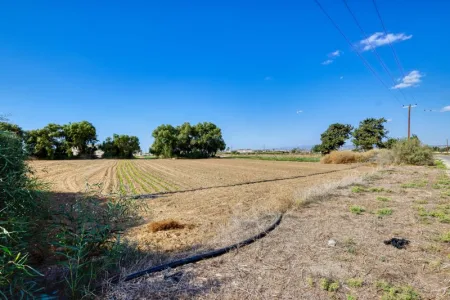 קרקע למגורים למכירה
