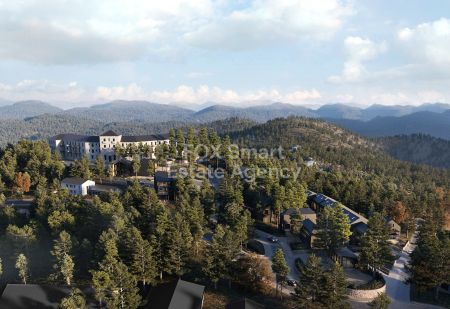 Thumbnail 3 Πληροφορίες για το Μονή Τροοδίτισσας