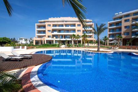 Thumbnail 5 Informacje o Rezerwat Przyrody Akrotiri Bagno | LIM-PAF-31543 Thumbnail 5 Informacje o Rezerwat Przyrody Akrotiri Bagno