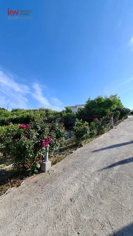 独立屋在售