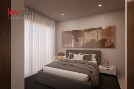 半独立式住宅在售