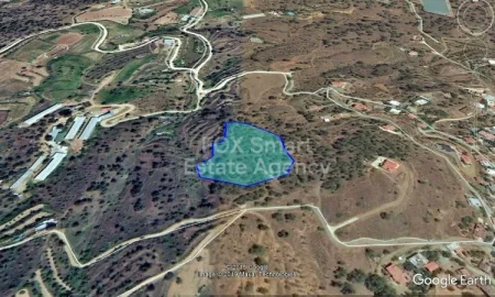 אגיוס אפיפניוס, ניקוסיה