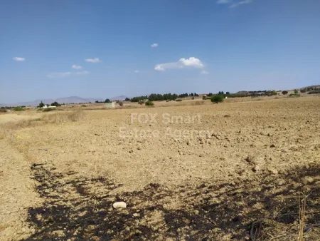 קרקע למגורים למכירה
