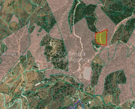 Agios Epifanios Oreinis, Nicosia