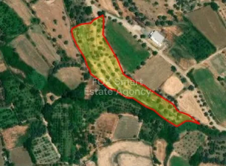 קרקע למגורים למכירה