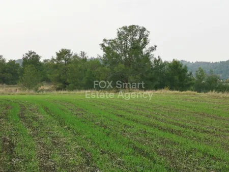 קרקע למגורים מכירה למכירה