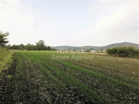 קרקע למגורים מכירה למכירה