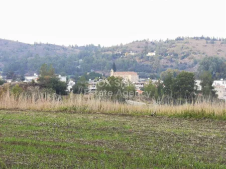 קרקע למגורים מכירה למכירה