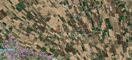 Astromeritis, Nicosia