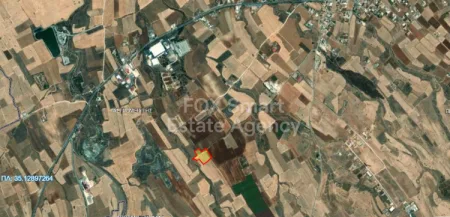 Astromerite, Nicosia
