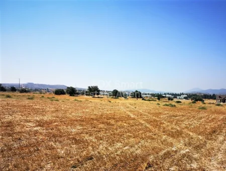 Linfia, Nicosia
