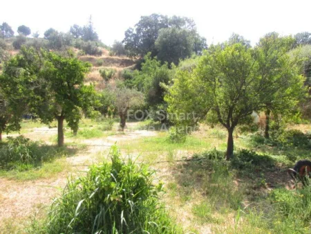 Temvria, Nicosia