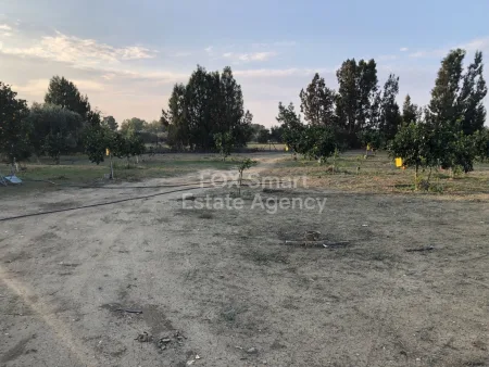 קרקע למגורים למכירה