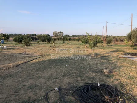 קרקע למגורים למכירה