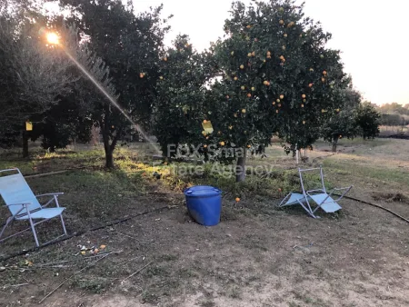 קרקע למגורים למכירה